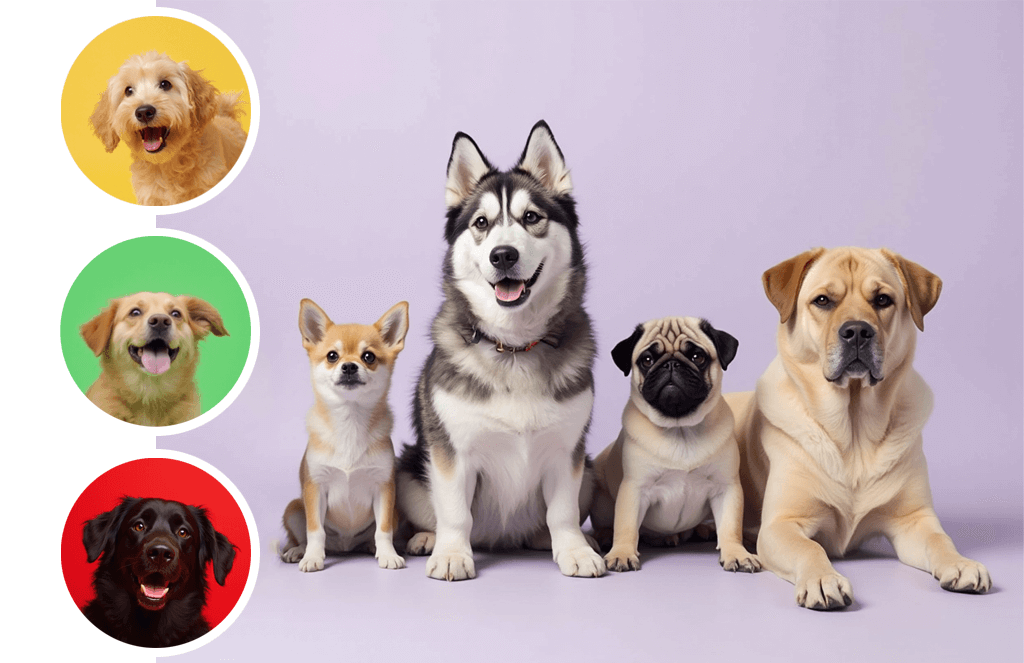 Probiotic chews for dogs of all breeds and sizes