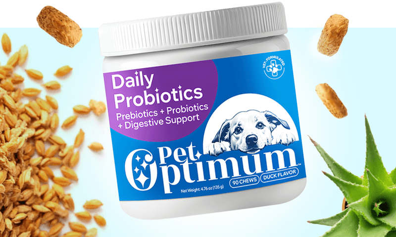 Daily Probiotics jar with supplement ingredients