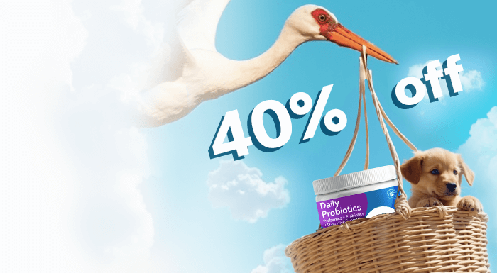 Subscribe and save on probiotic chews