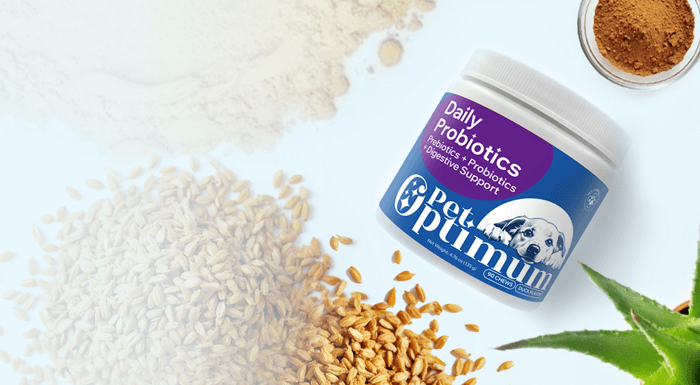 Premium dog supplement ingredients