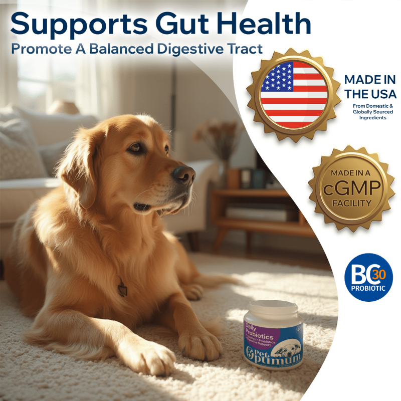 Probiotics for Dogs – Digestive & Gut Health Soft Chews - 90 Chews - Image 3