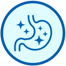 dogs stomach showing the posivitve digestive impacts of petoptimum dog probiotic chews